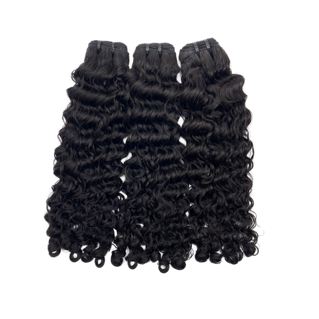 Burmese Curly